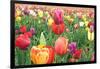 Tulips-Lantern Press-Framed Art Print