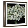 Tulips-Kari Taylor-Framed Giclee Print