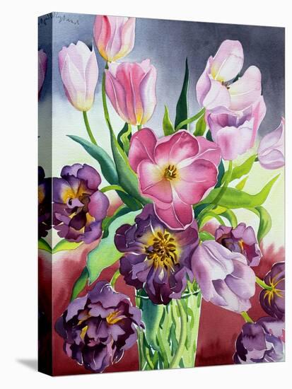 Tulips-Christopher Ryland-Stretched Canvas