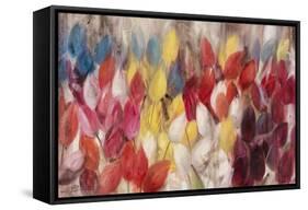 Tulips-li bo-Framed Stretched Canvas