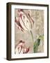 Tulips-Color Bakery-Framed Giclee Print