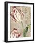 Tulips-Color Bakery-Framed Giclee Print