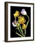 Tulips-Susan S. Barmon-Framed Giclee Print