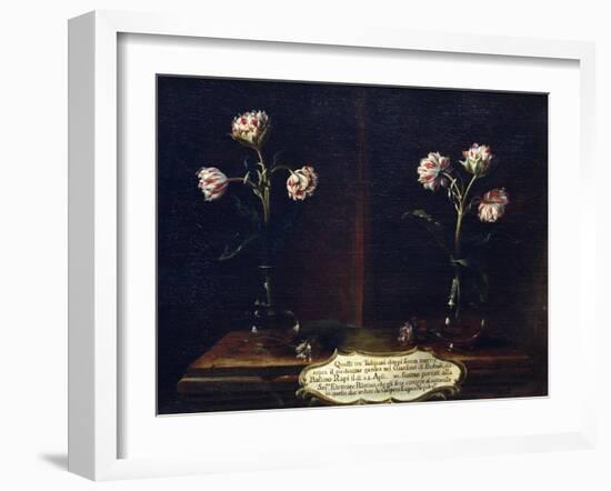 Tulips-Gasparo Lopez-Framed Giclee Print
