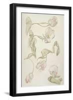 Tulips-Albert Williams-Framed Giclee Print