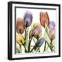 Tulipscape 2-Albert Koetsier-Framed Photographic Print