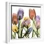 Tulipscape 2-Albert Koetsier-Framed Photographic Print