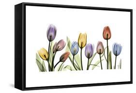 Tulipscape Portrait-Albert Koetsier-Framed Stretched Canvas