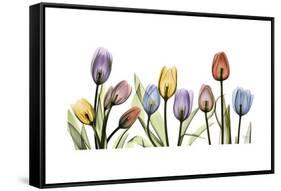 Tulipscape Portrait-Albert Koetsier-Framed Stretched Canvas