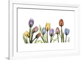 Tulipscape Portrait-Albert Koetsier-Framed Premium Giclee Print