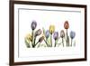 Tulipscape Portrait-Albert Koetsier-Framed Premium Giclee Print