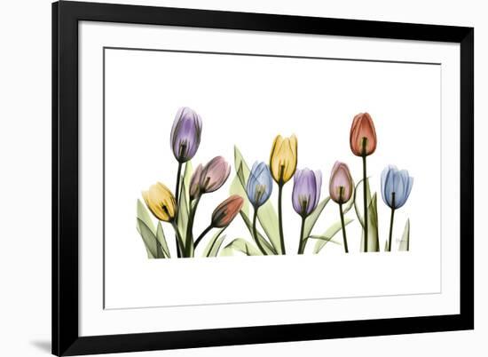 Tulipscape Portrait-Albert Koetsier-Framed Premium Giclee Print