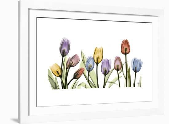 Tulipscape Portrait-Albert Koetsier-Framed Premium Giclee Print