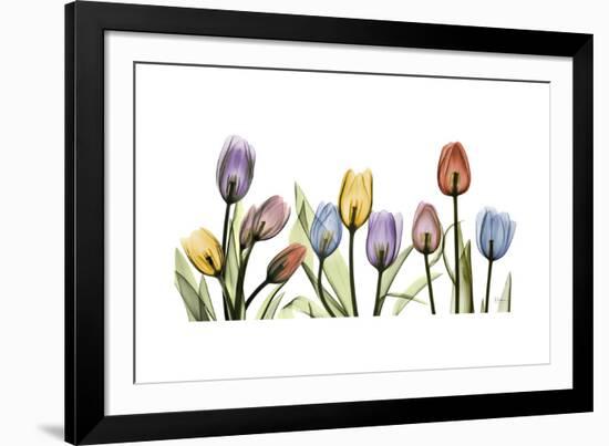 Tulipscape Portrait-Albert Koetsier-Framed Premium Giclee Print