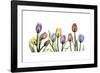 Tulipscape Portrait-Albert Koetsier-Framed Premium Giclee Print