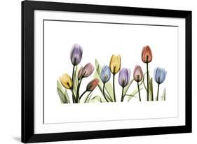 Tulipscape Portrait-Albert Koetsier-Framed Premium Giclee Print