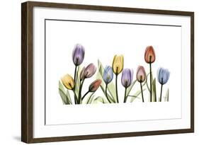 Tulipscape Portrait-Albert Koetsier-Framed Premium Giclee Print