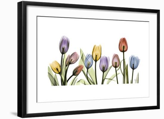 Tulipscape Portrait-Albert Koetsier-Framed Premium Giclee Print