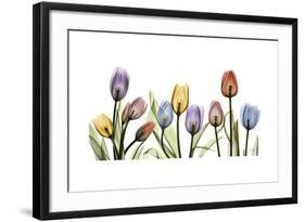 Tulipscape Portrait-Albert Koetsier-Framed Premium Giclee Print