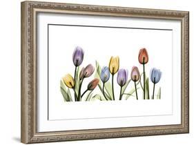 Tulipscape Portrait-Albert Koetsier-Framed Premium Giclee Print