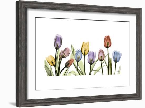 Tulipscape Portrait-Albert Koetsier-Framed Premium Giclee Print