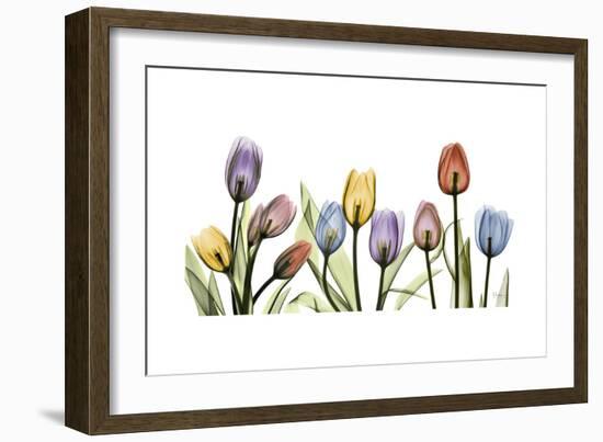 Tulipscape Portrait-Albert Koetsier-Framed Premium Giclee Print