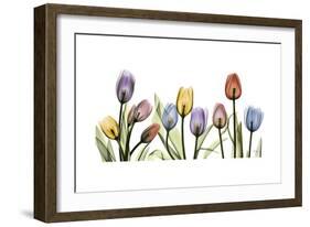 Tulipscape Portrait-Albert Koetsier-Framed Premium Giclee Print