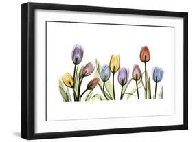 Tulipscape Portrait-Albert Koetsier-Framed Premium Giclee Print