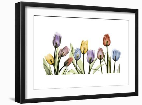 Tulipscape Portrait-Albert Koetsier-Framed Premium Giclee Print