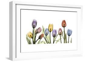 Tulipscape Portrait-Albert Koetsier-Framed Premium Giclee Print