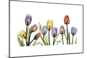 Tulipscape Portrait-Albert Koetsier-Mounted Premium Giclee Print