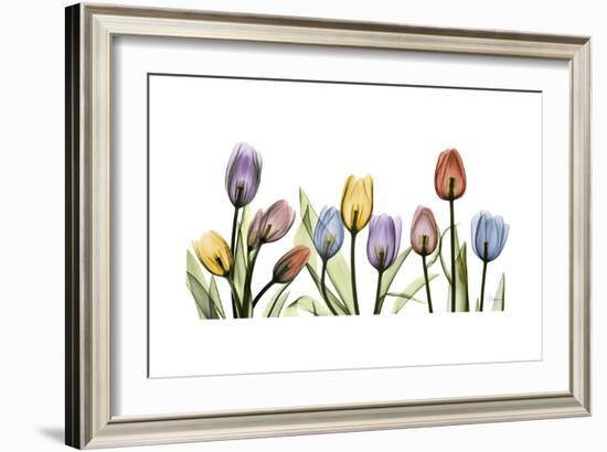 Tulipscape Portrait-Albert Koetsier-Framed Premium Giclee Print