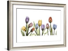 Tulipscape Portrait-Albert Koetsier-Framed Premium Giclee Print