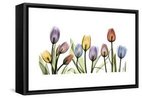 Tulipscape Portrait-Albert Koetsier-Framed Stretched Canvas