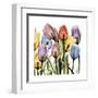 Tulipscape-Albert Koetsier-Framed Art Print