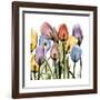 Tulipscape-Albert Koetsier-Framed Art Print