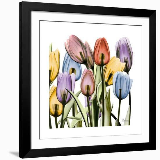 Tulipscape-Albert Koetsier-Framed Art Print