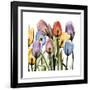 Tulipscape-Albert Koetsier-Framed Art Print