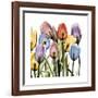 Tulipscape-Albert Koetsier-Framed Art Print