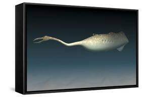 Tullimonstrum Gregarium, known as the Tully Monster-Stocktrek Images-Framed Stretched Canvas