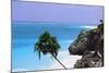 Tulum Shoreline Mexico-George Oze-Mounted Premium Photographic Print