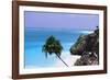 Tulum Shoreline Mexico-George Oze-Framed Photographic Print