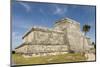 Tulum, Yucatan, Mexico, North America-Tony Waltham-Mounted Photographic Print