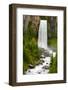 Tumalo Falls, Deschutes County, Oregon, USA-Michel Hersen-Framed Photographic Print