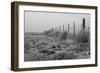 Tumbleweed Fences and Sheep-Amanda Lee Smith-Framed Photographic Print