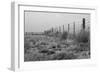 Tumbleweed Fences and Sheep-Amanda Lee Smith-Framed Photographic Print