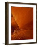 Tumbleweed on Ledge in Antelope Canyon, Page, Arizona, USA-Adam Jones-Framed Photographic Print