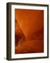 Tumbleweed on Ledge in Antelope Canyon, Page, Arizona, USA-Adam Jones-Framed Photographic Print