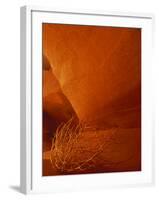 Tumbleweed on Ledge in Antelope Canyon, Page, Arizona, USA-Adam Jones-Framed Photographic Print