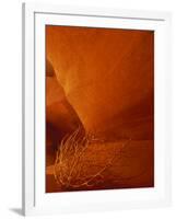 Tumbleweed on Ledge in Antelope Canyon, Page, Arizona, USA-Adam Jones-Framed Photographic Print